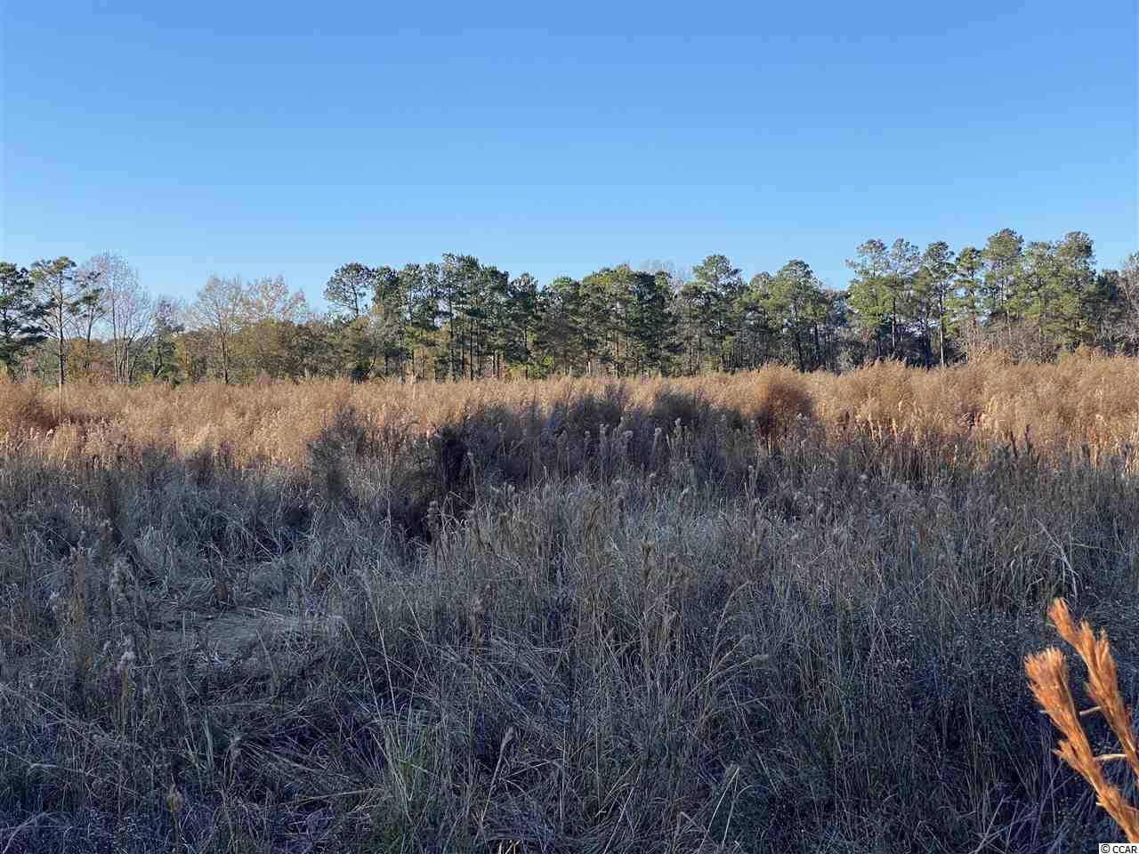 Tbd Lambert Road Conway, SC 29526 - Photo 2 of 4 Gallery Image 2