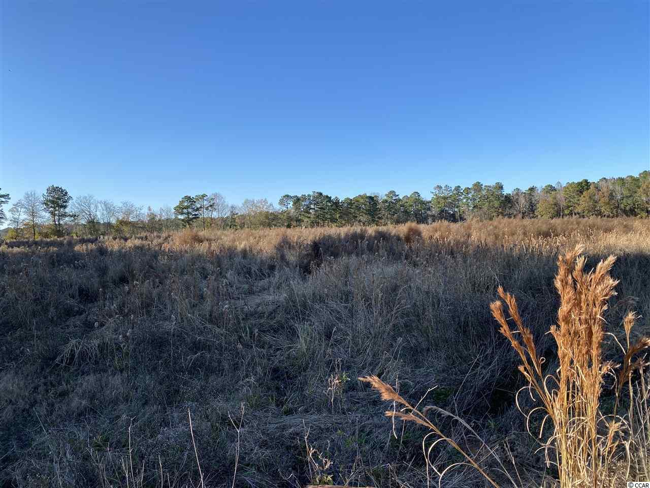 Tbd Lambert Road Conway, SC 29526 - Photo 3 of 4 Gallery Image 3