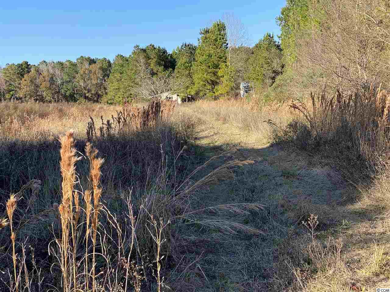 Tbd Lambert Road Conway, SC 29526 - Photo 4 of 4 Gallery Image 4