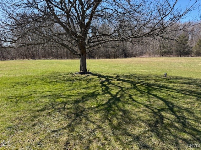 4903 Fox Road Verona, NY 13421 - Photo 8 of 30 Beautiful 1 acre lot