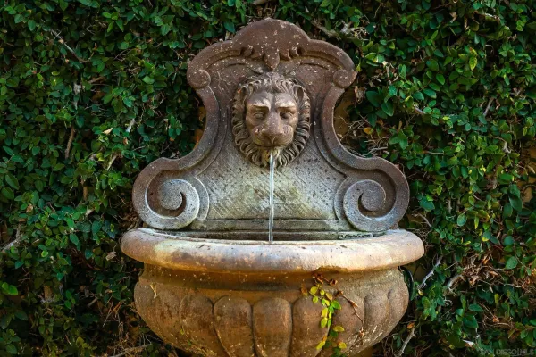 a view of a dinning table and chairs in patio