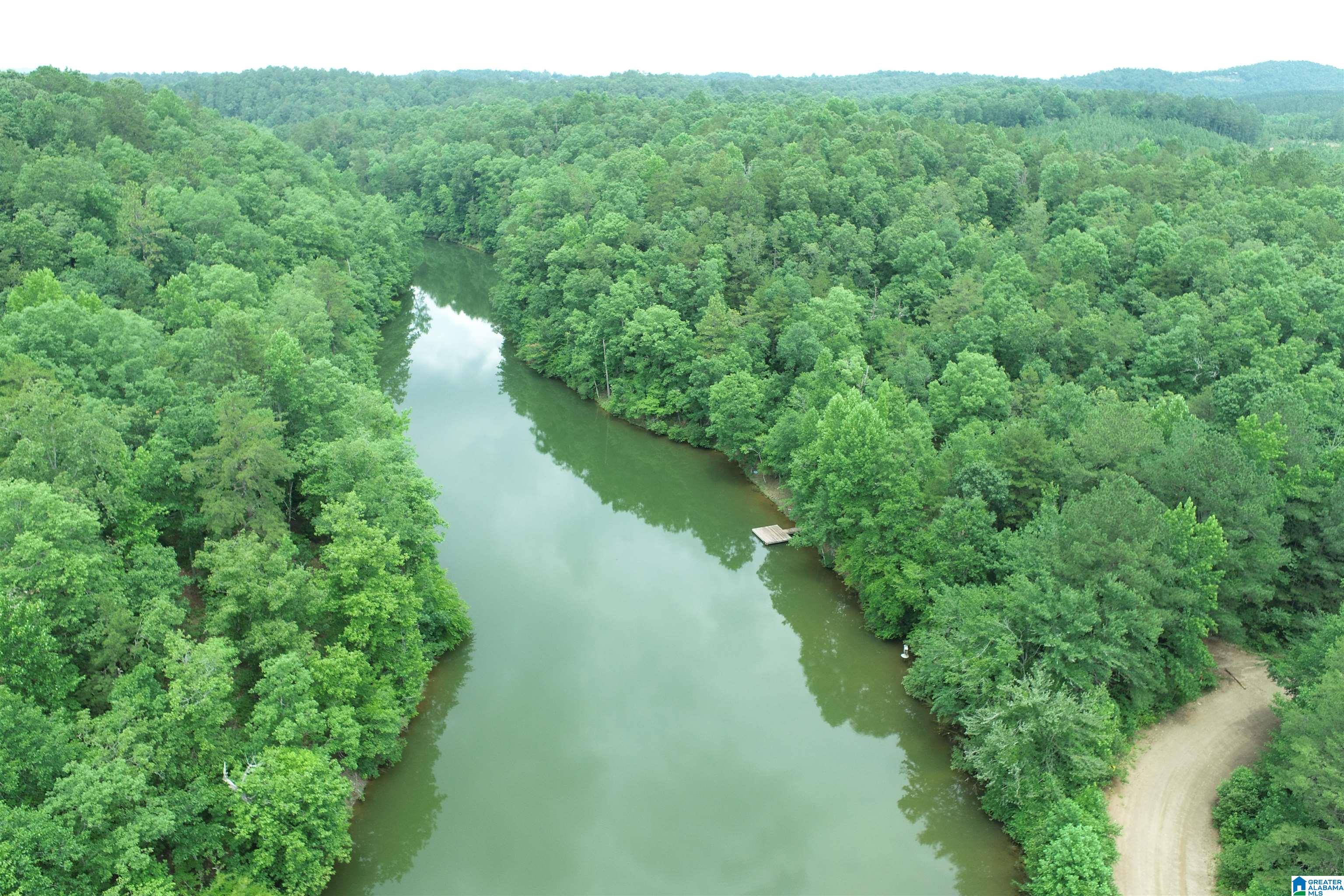 0 County Road 803, Unit 33 Wedowee, AL 36278 - Photo 4 of 14