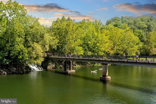 a view of lake and trees