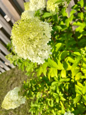 $217,900 | 319 Bordeaux Drive, Thomson, GA 30824