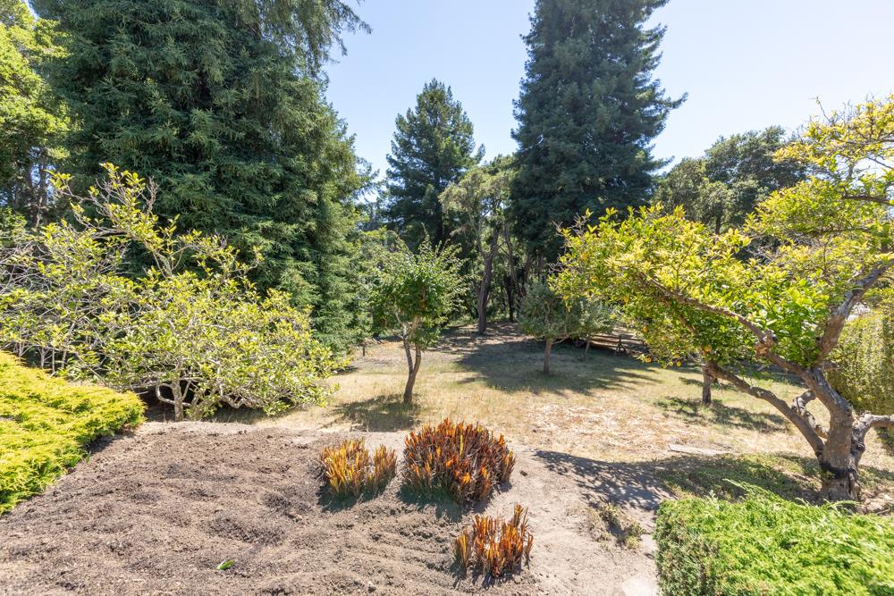 275 Aptos School Road Aptos, CA 95003 - Photo 4 of 45 a view of a yard with a tree