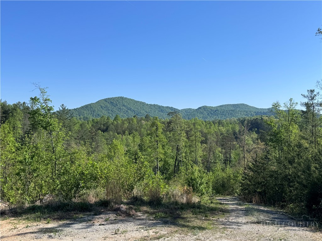 4229 Grandin Road Lenoir, NC 28645 - Photo 2 of 46 Gallery Image 2