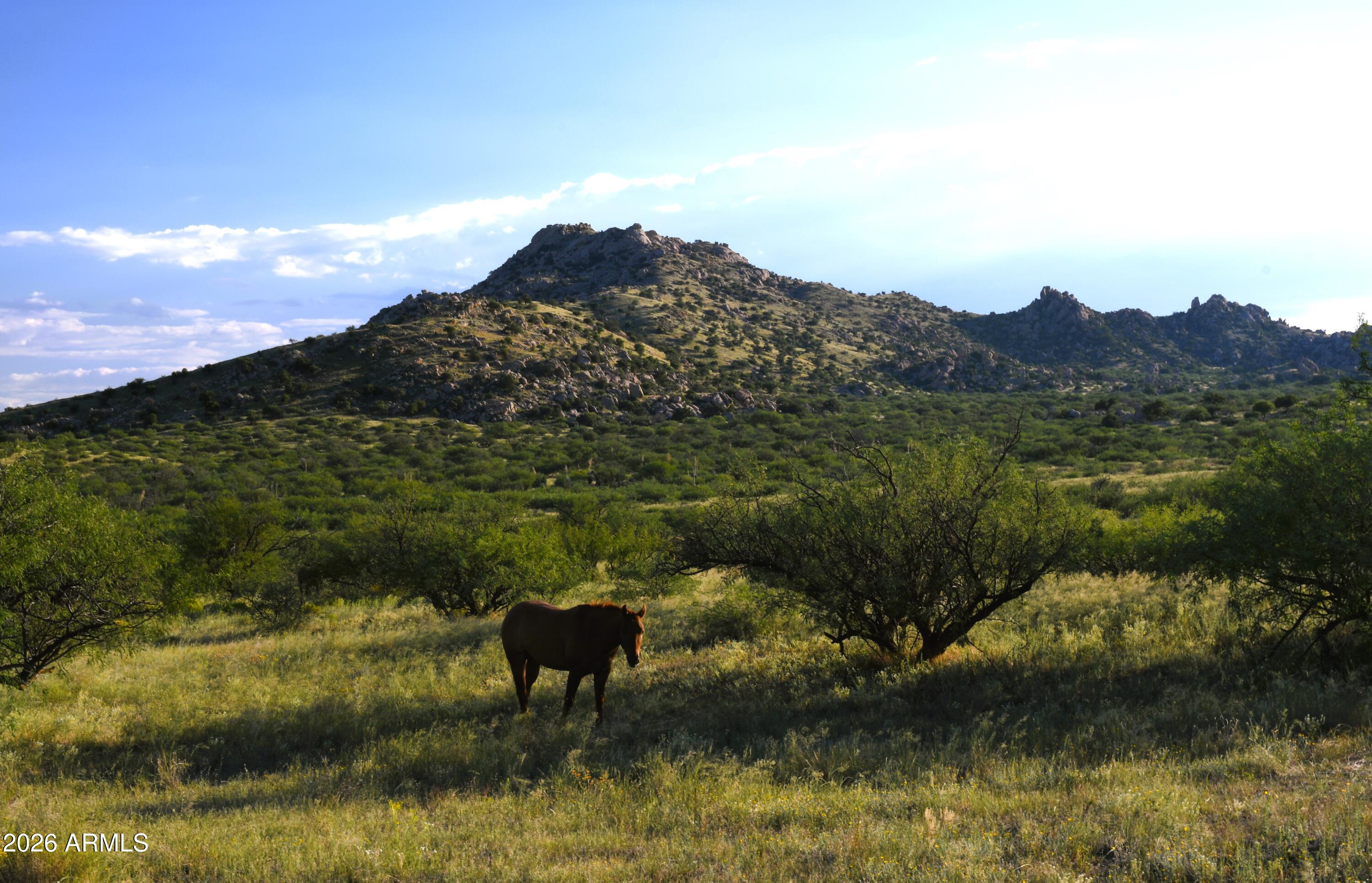 Tbd East Tbd E Walker Ranch Road Dragoon, AZ 85609 - Photo 12 of 20 a view of a lake with a mountain in the background