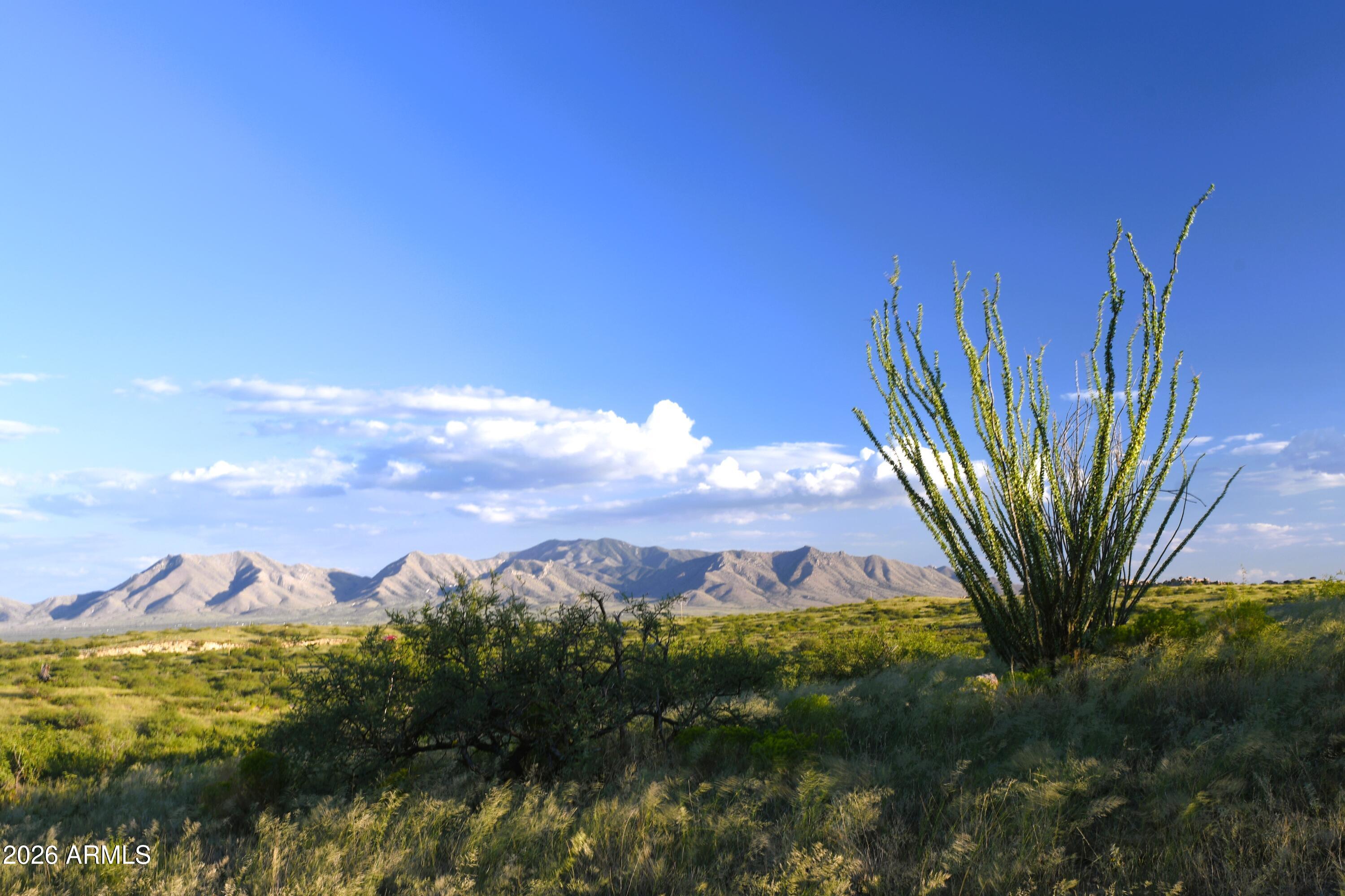 Tbd East Tbd E Walker Ranch Road Dragoon, AZ 85609 - Photo 2 of 20 a view of a city with flower plants in front of it