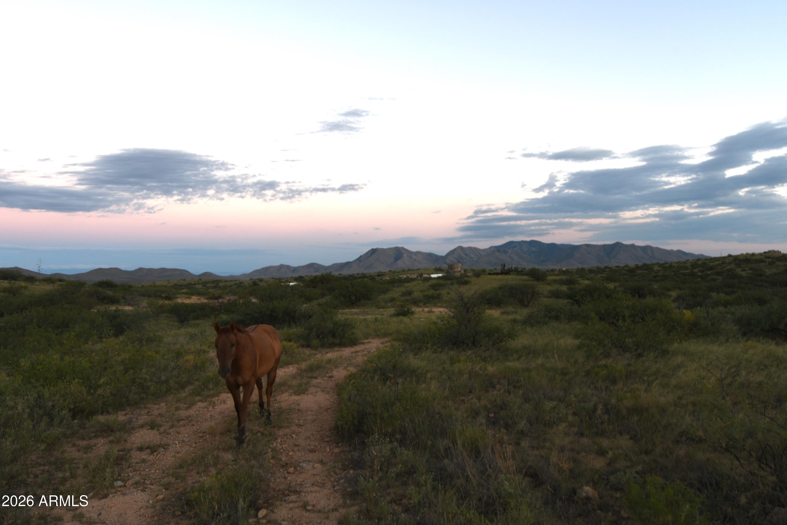 Tbd East Walker Ranch Road Dragoon, AZ 85609 - Photo 21 of 31 a view of lake with mountain