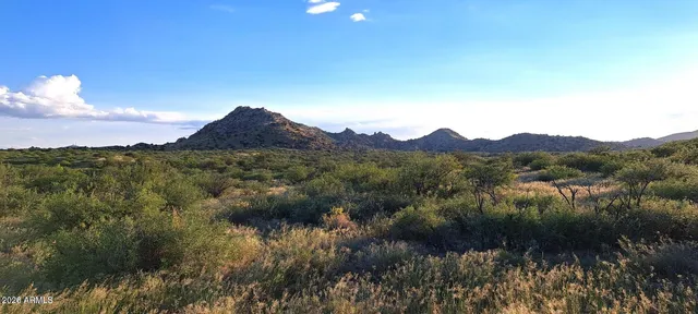 $325,000 | Tbd East Walker Ranch Road, Dragoon, AZ 85609