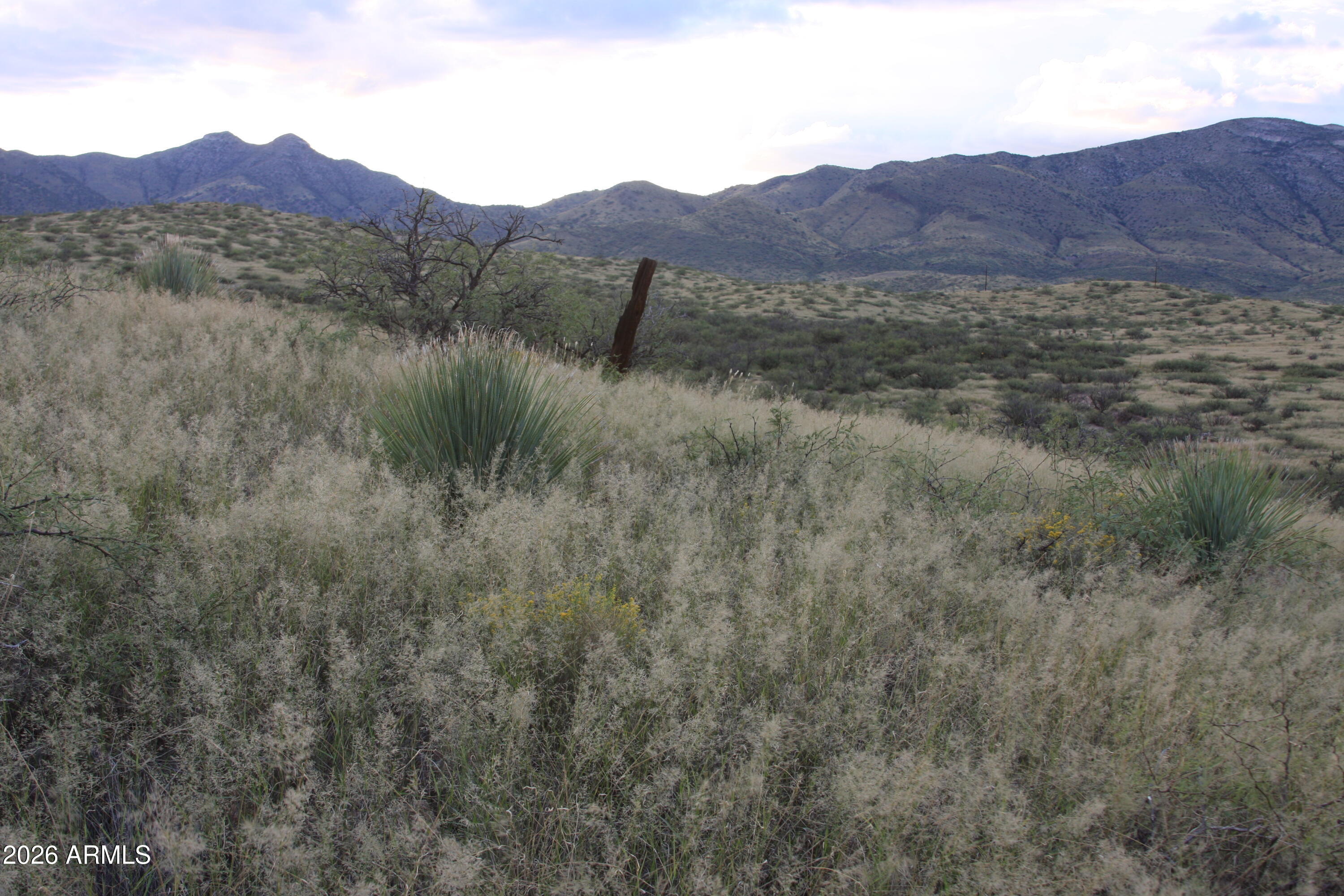 Tbd East Walker Ranch Road Dragoon, AZ 85609 - Photo 24 of 31 a view of a lush green hillside and a houses