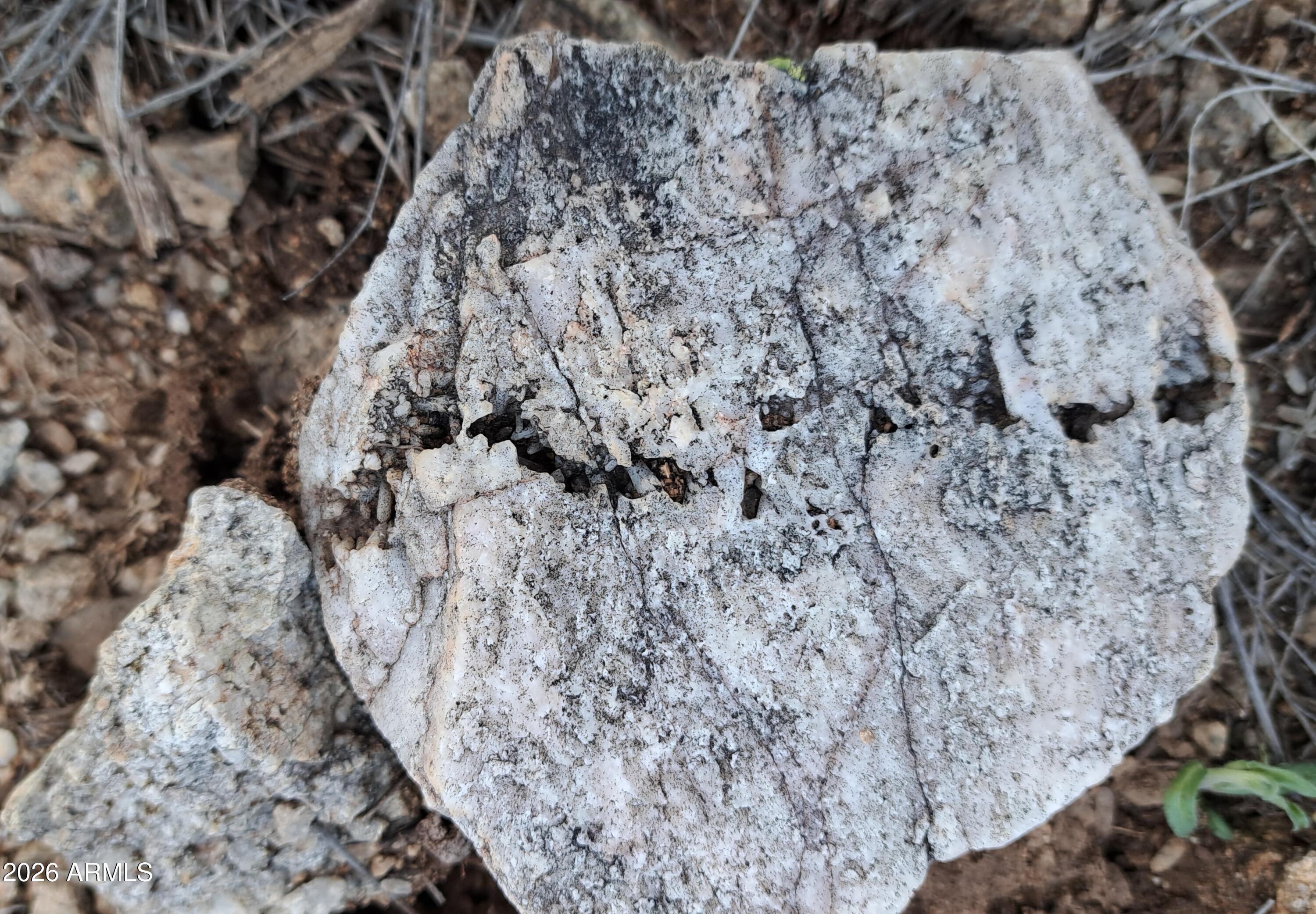 Tbd East Walker Ranch Road Dragoon, AZ 85609 - Photo 26 of 31 a close up of a stone wall