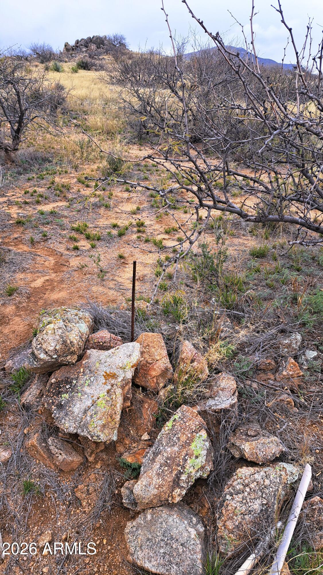 Tbd East Walker Ranch Road Dragoon, AZ 85609 - Photo 27 of 31 a view of a yard