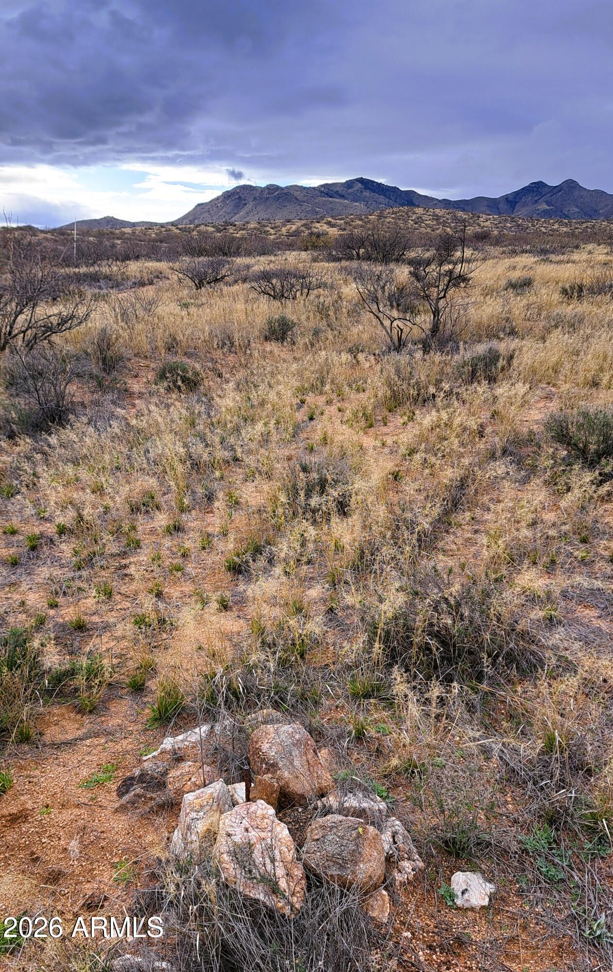 Tbd East Walker Ranch Road Dragoon, AZ 85609 - Photo 29 of 31 a view of mountains and valleys