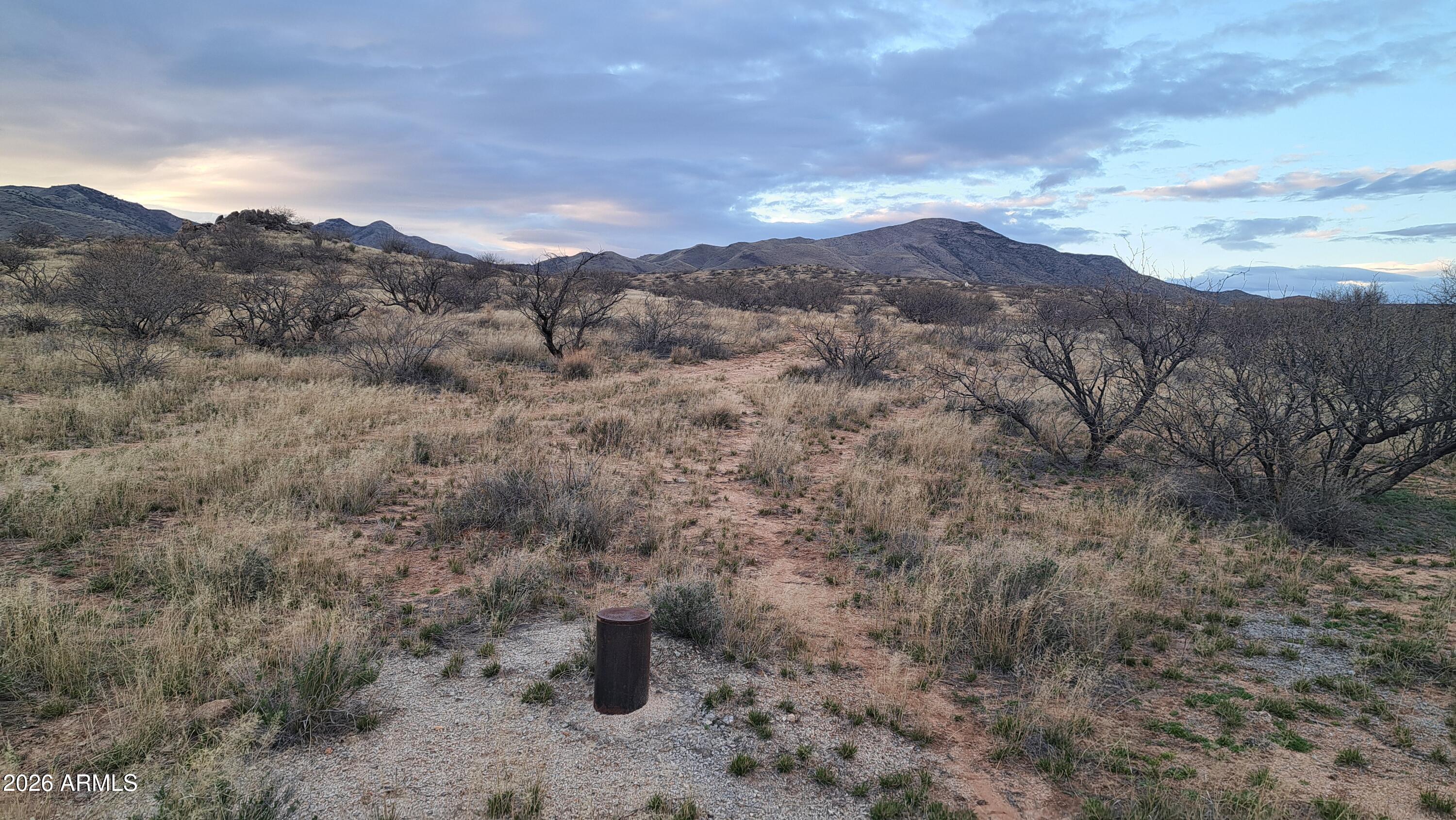 Tbd East Walker Ranch Road Dragoon, AZ 85609 - Photo 3 of 31 a view of a dry yard with mountains in the background
