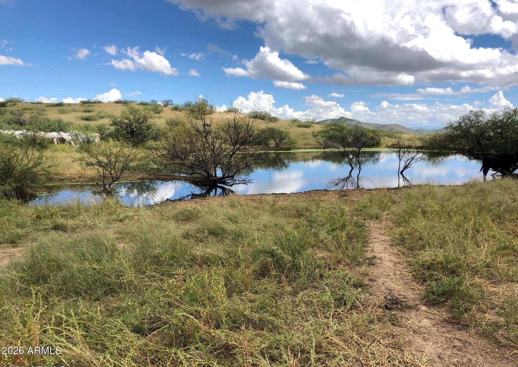 Tbd East Walker Ranch Road Dragoon, AZ 85609 - Photo 6 of 31 a view of a lake with houses