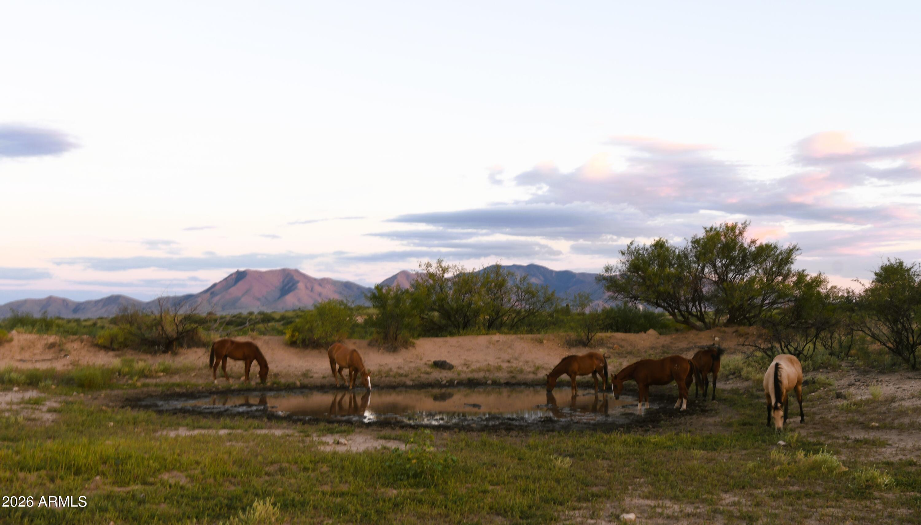 Tbd East Tbd E Walker Ranch Road Dragoon, AZ 85609 - Photo 7 of 20 a view of a lake with houses in the back