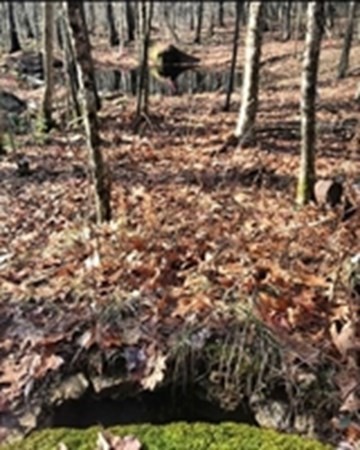 Lot 2 Lee Road Ware, MA 01082 - Photo 10 of 13 Gallery Image 10
