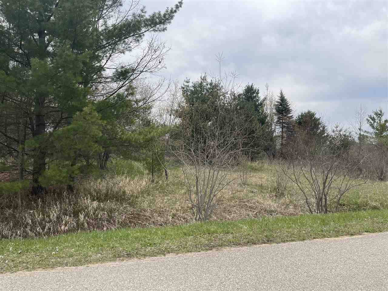 91 Hamilton Way Gladwin, MI 48624 - Photo 3 of 14