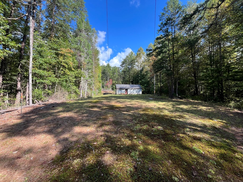 10977 Beaver Dam Road Murphy, NC 28906 - Photo 5 of 29 Gallery Image 5