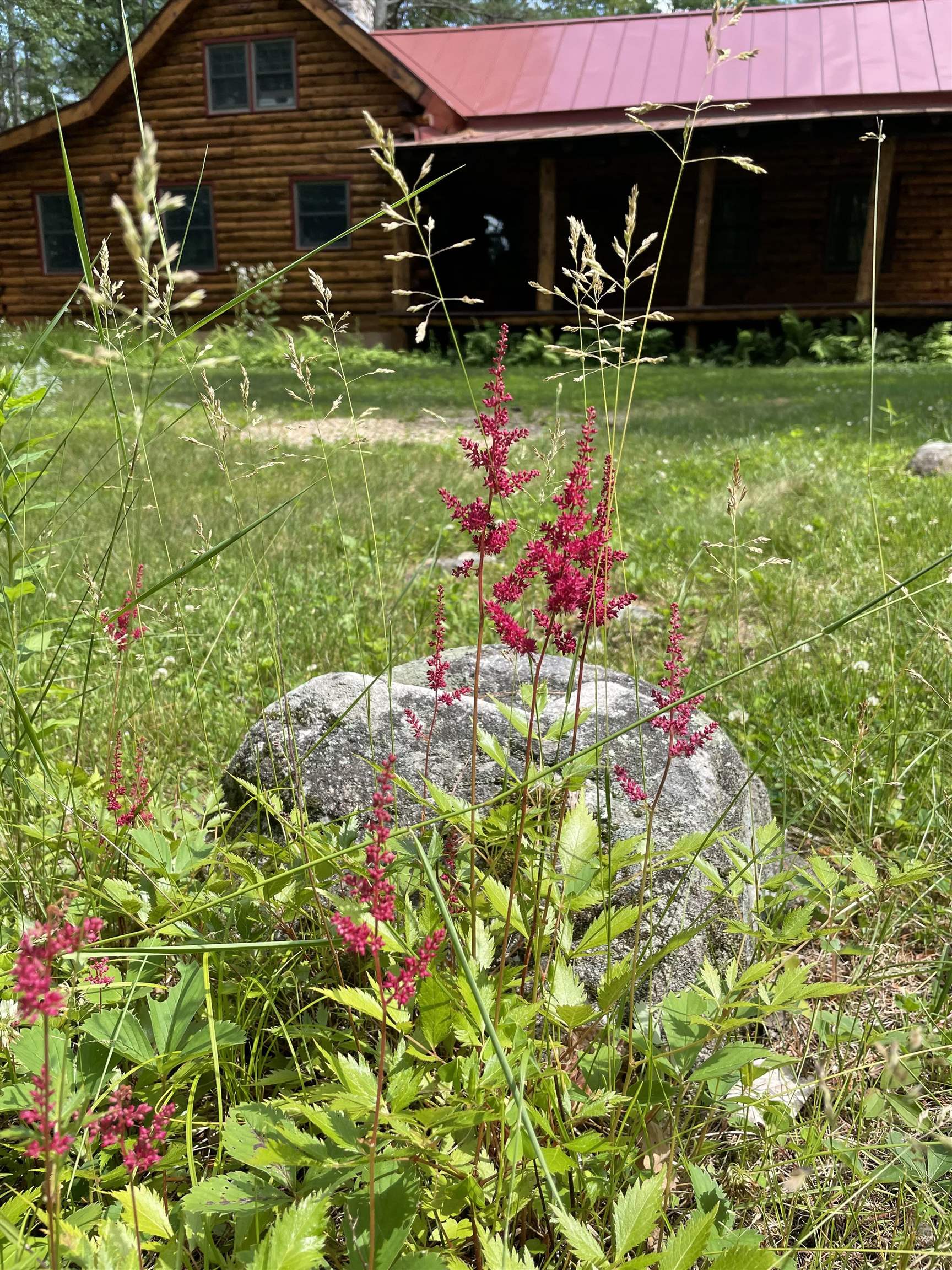 404 Bee Hole Road Loudon, NH 03307 - Photo 36 of 45 Gallery Image 36
