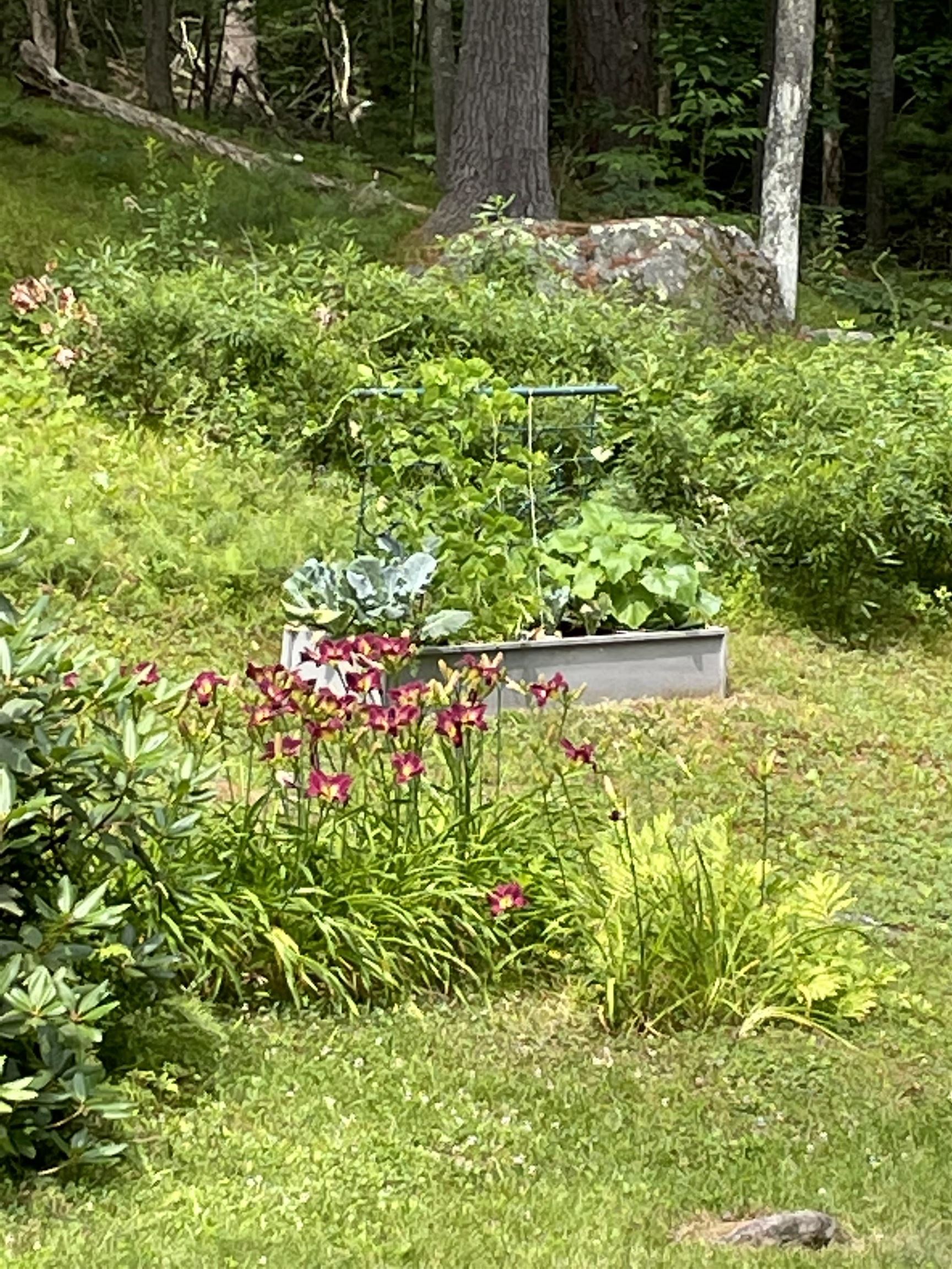 404 Bee Hole Road Loudon, NH 03307 - Photo 38 of 45 Gallery Image 38