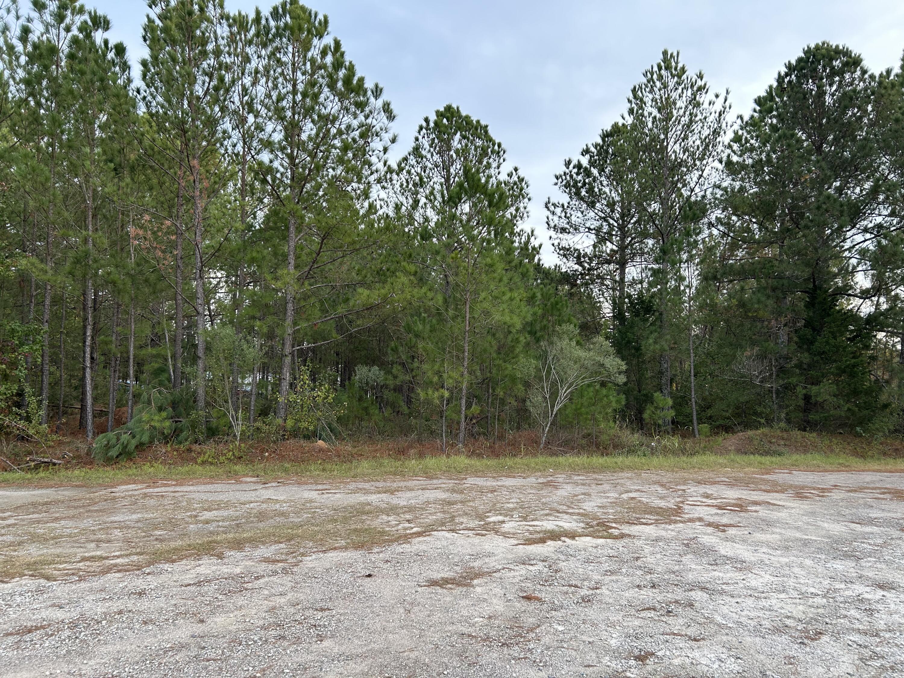 4668 Jessie Road Augusta, GA 30907 - Photo 3 of 4 View from the parking lot next to ball fields