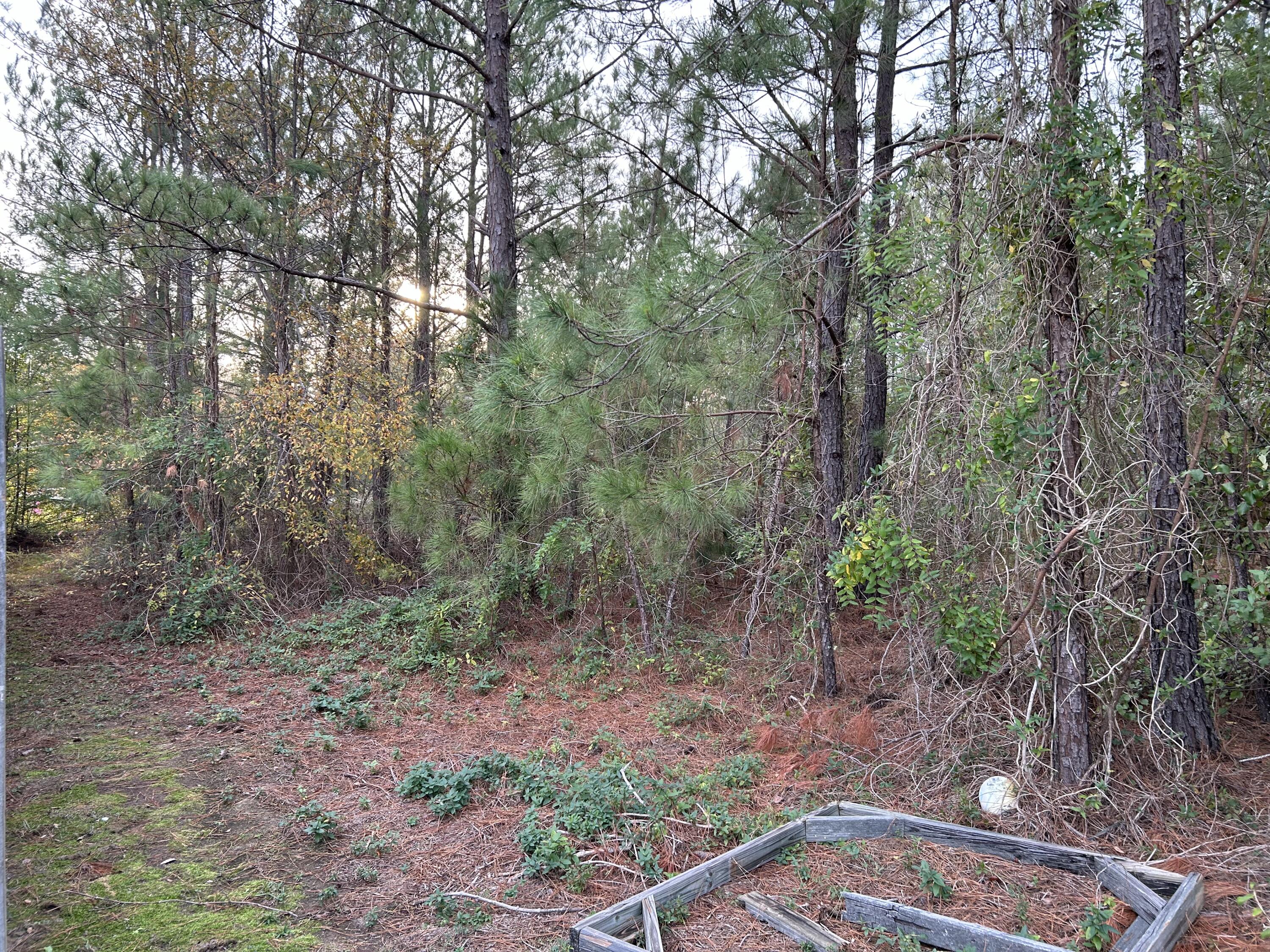 4668 Jessie Road Augusta, GA 30907 - Photo 4 of 4 View from shared driveway