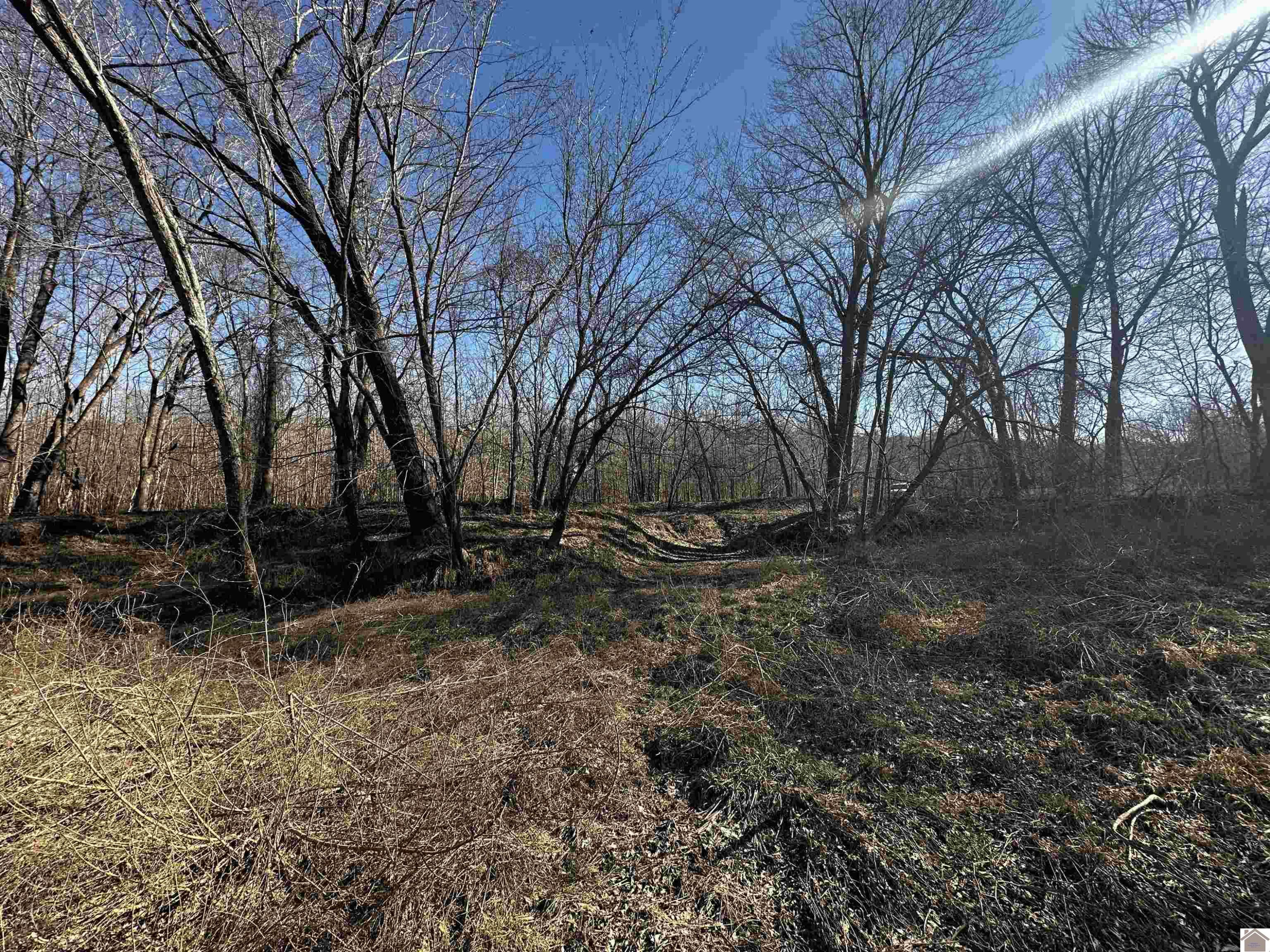 50.77 Old Olive Road Hardin, KY 42048 - Photo 22 of 26 Photo 22