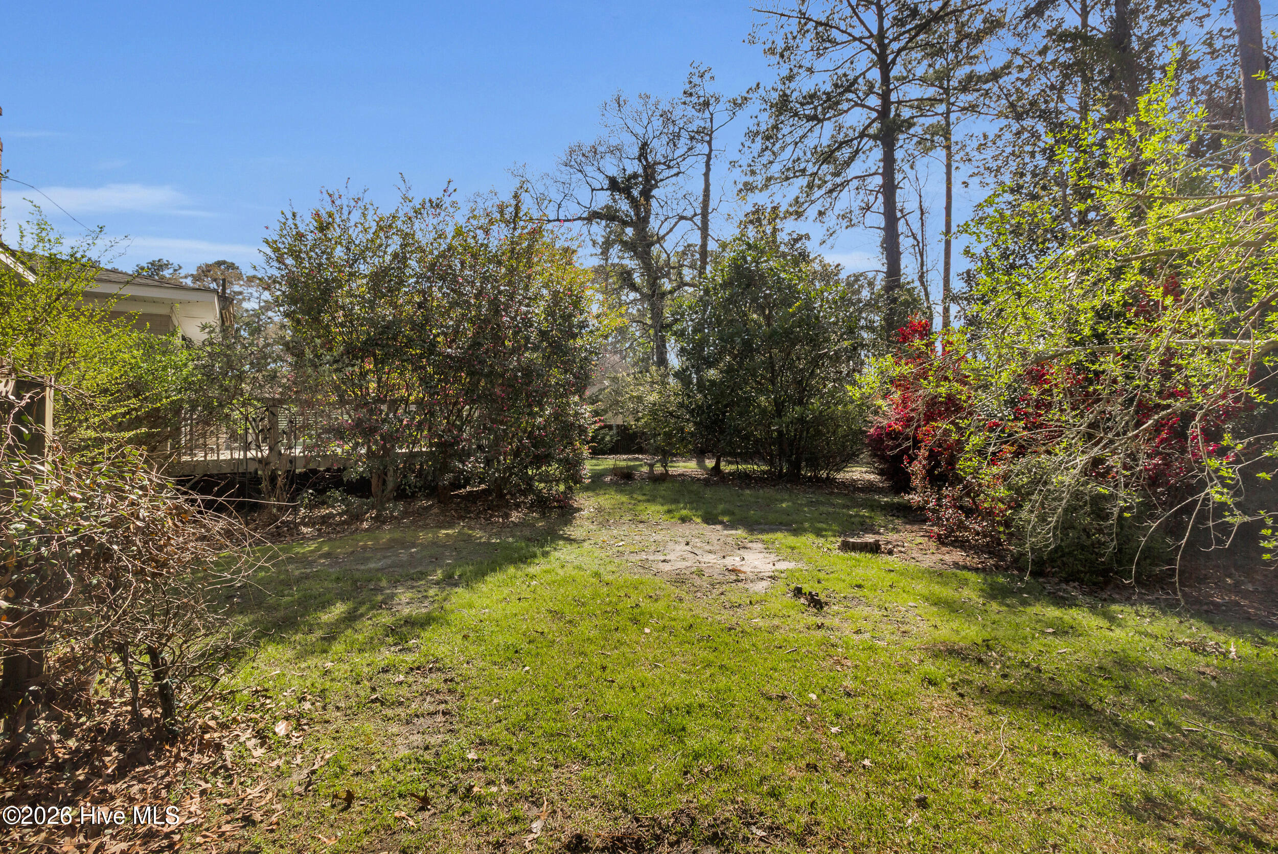 609 Edgehill Road Trent Woods, NC 28562 - Photo 37 of 49 Back