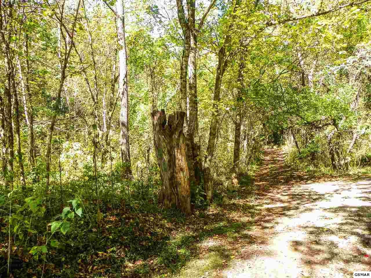 3 Obes Branch Road Sevierville, TN 37876 - Photo 4 of 33 Gallery Image 4