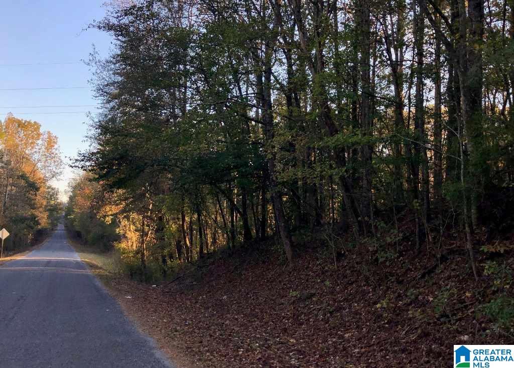 East Mill Road Lineville, AL 36266 - Photo 8 of 9
