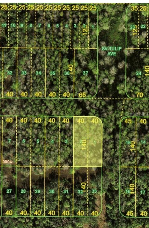 31 Bermont Road Punta Gorda, FL 33982 - Photo 5 of 5