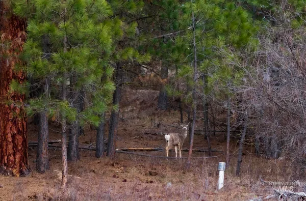 $330,000 | Lot 1 Card Creek, Unit 3, Garden Valley, ID 83622