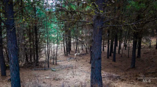 $330,000 | Lot 1 Card Creek, Unit 3, Garden Valley, ID 83622