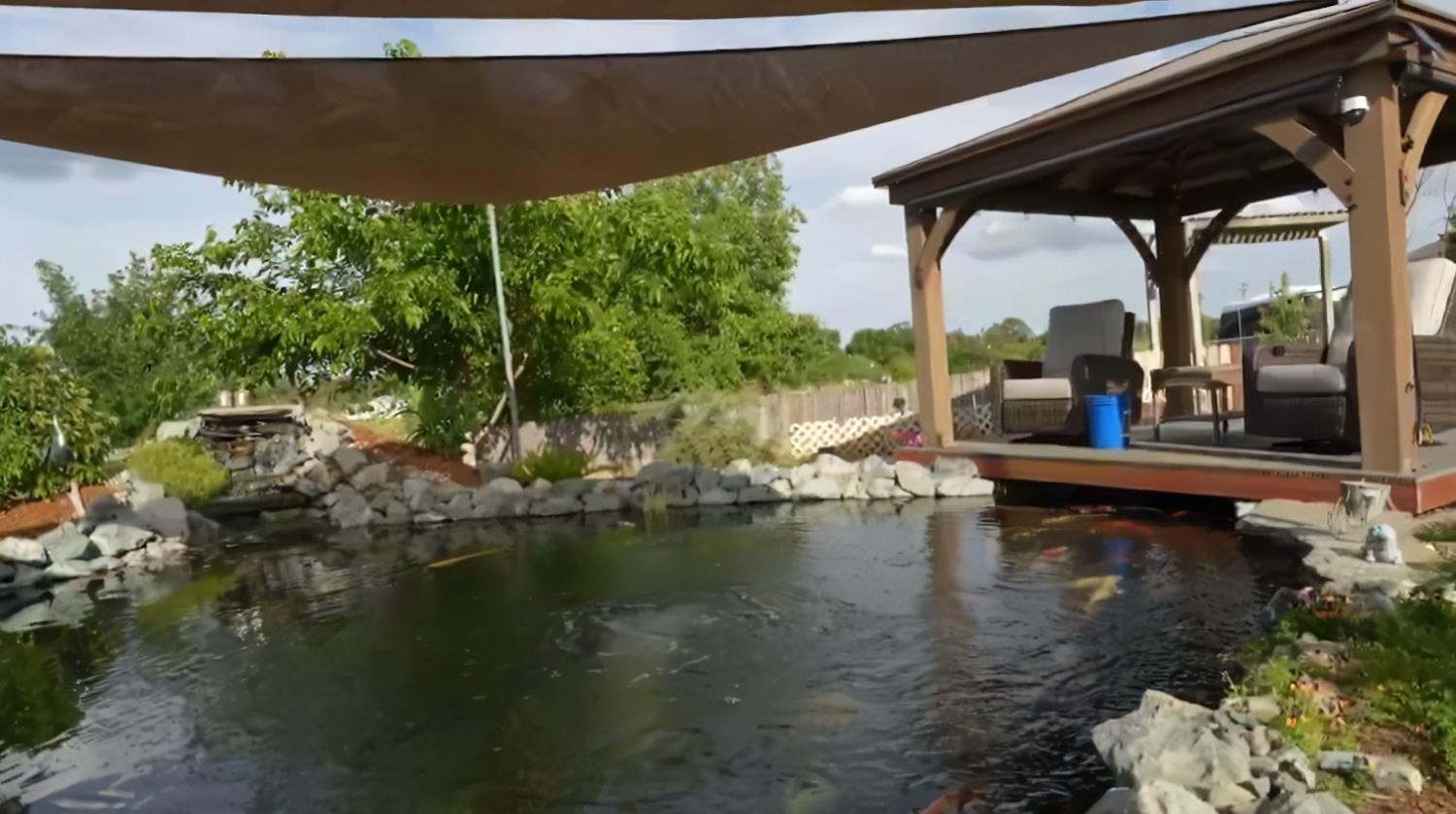 12105 Rising Road Wilton, CA 95693 - Photo 28 of 63