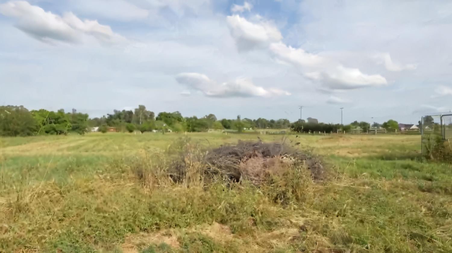 12105 Rising Road Wilton, CA 95693 - Photo 32 of 63