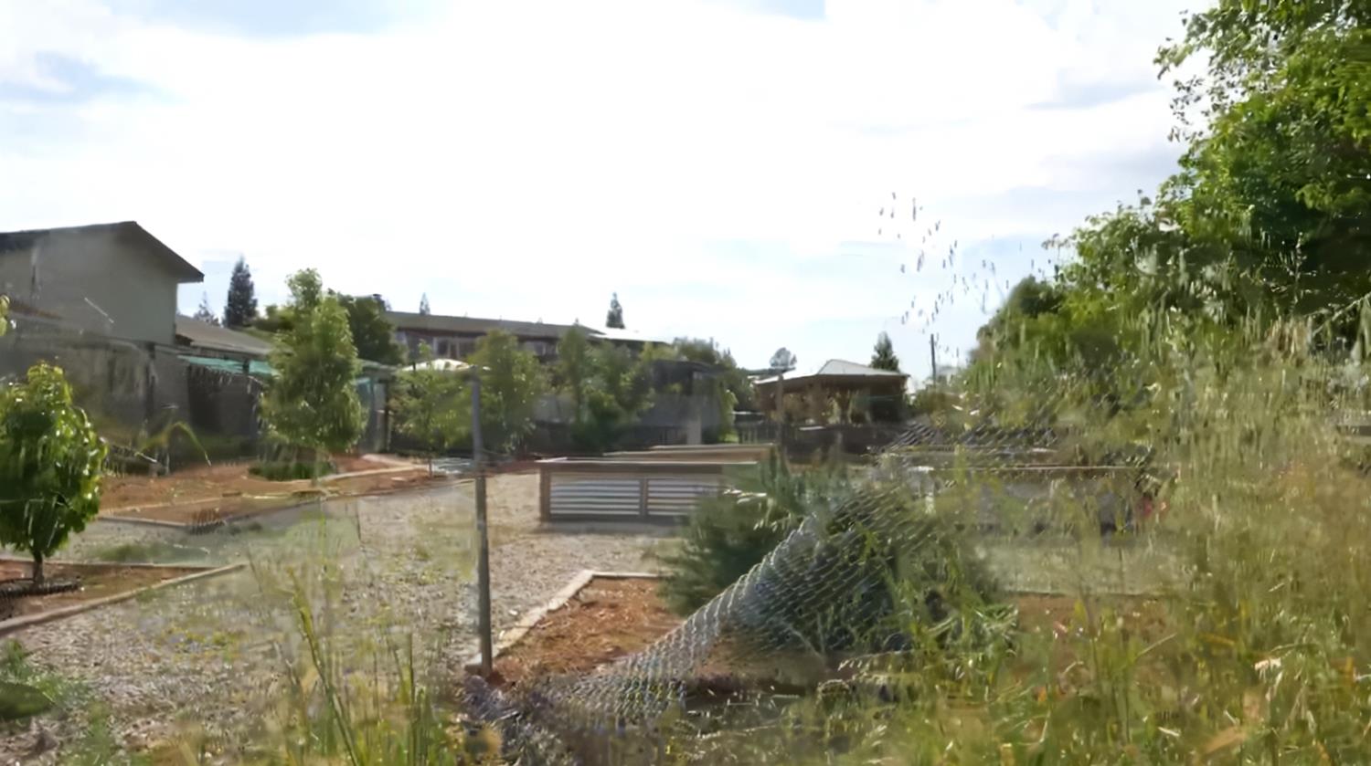 12105 Rising Road Wilton, CA 95693 - Photo 33 of 63