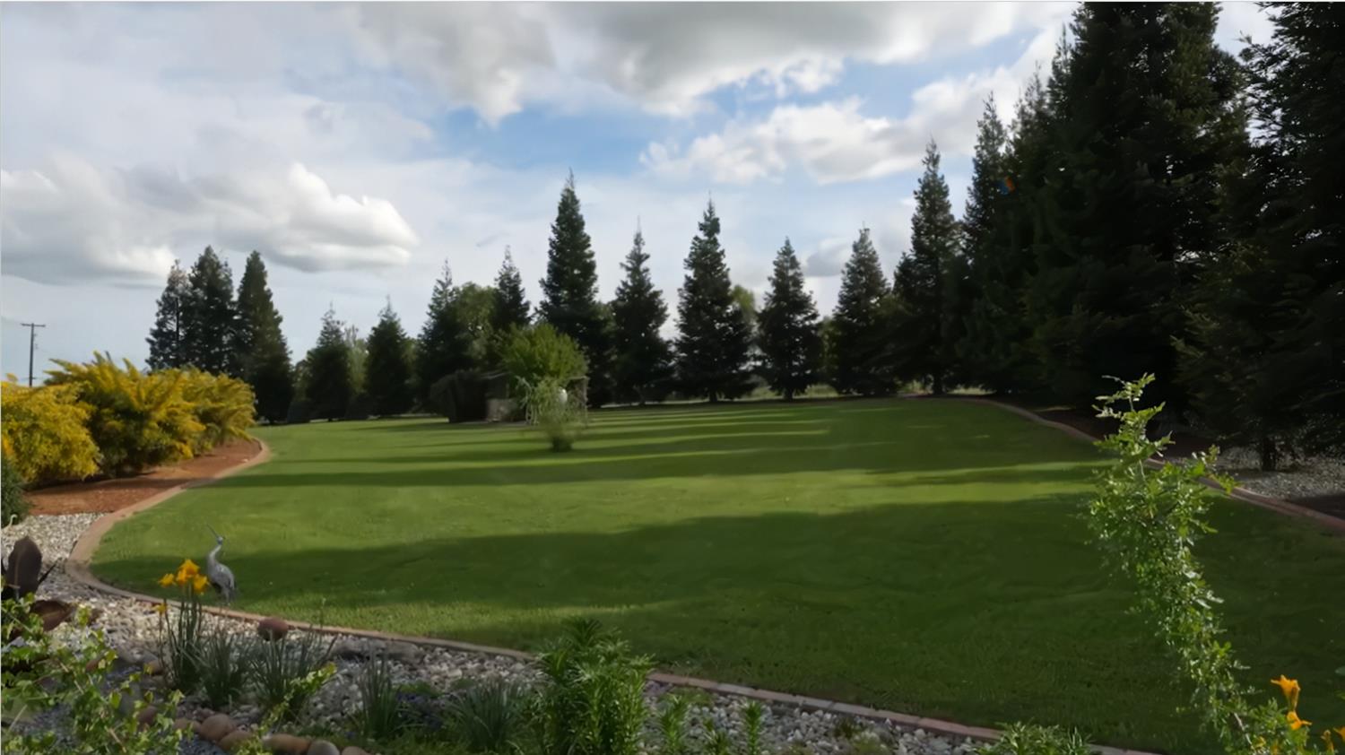 12105 Rising Road Wilton, CA 95693 - Photo 5 of 63