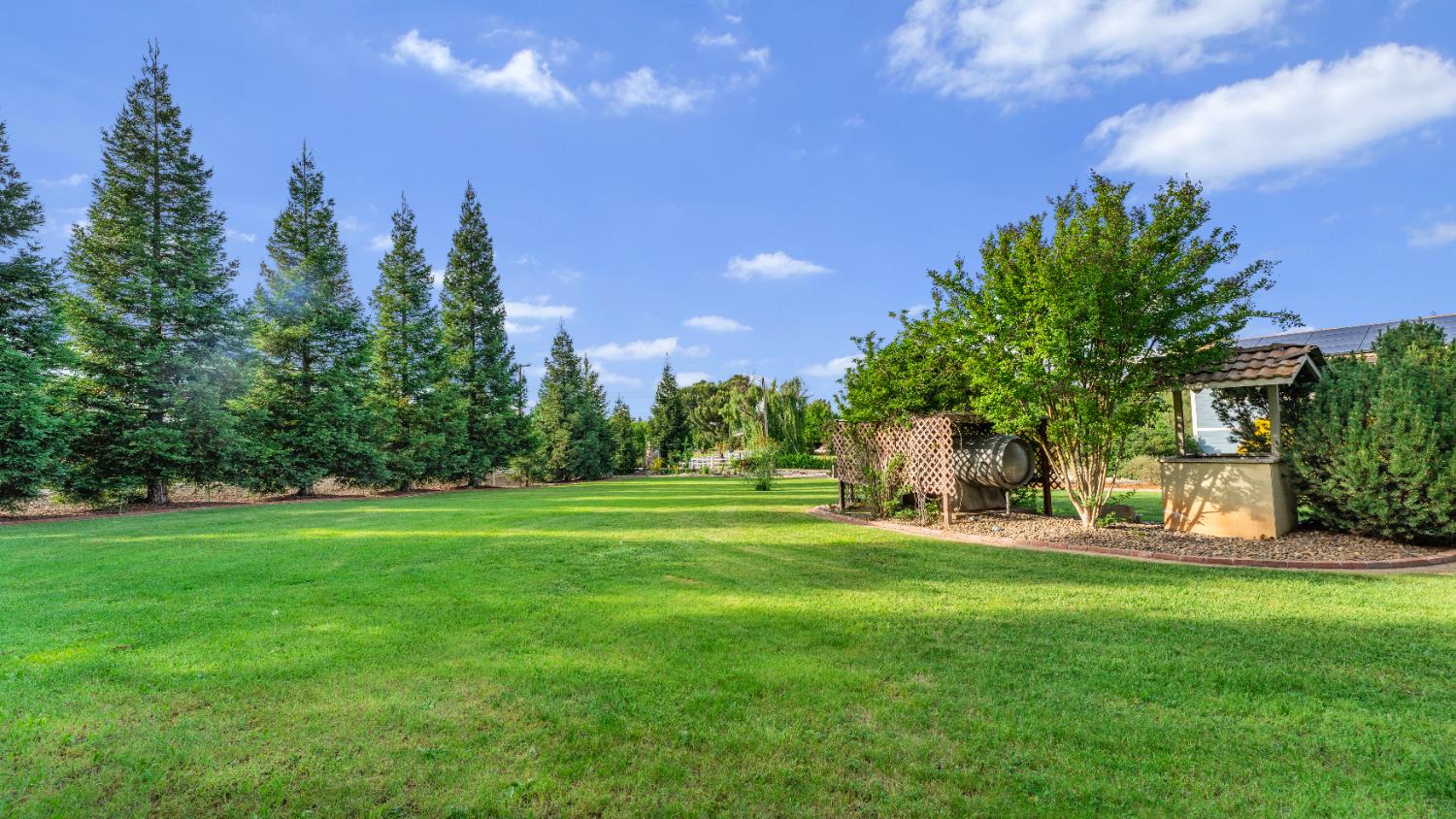 12105 Rising Road Wilton, CA 95693 - Photo 7 of 86