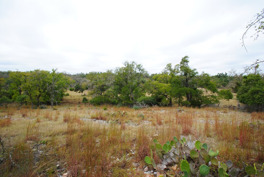 0 Reeh Road Fredericksburg, TX 78624 - Photo 2 of 19 Gallery Image 2