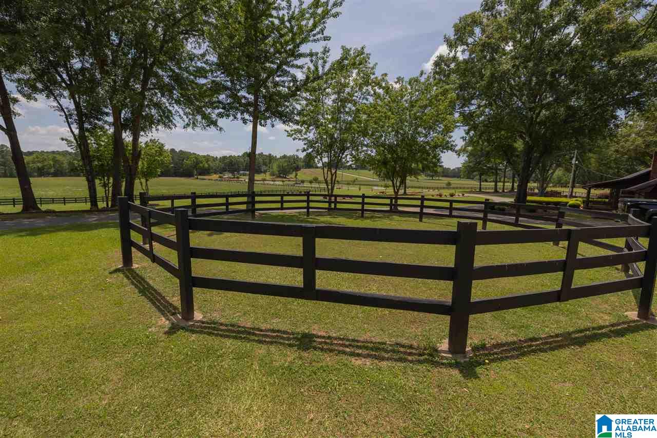 5360 McElderry Road North Munford, AL 36268 - Photo 10 of 45