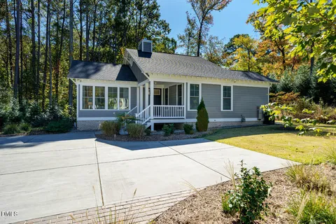a view of a backyard with plants and large trees