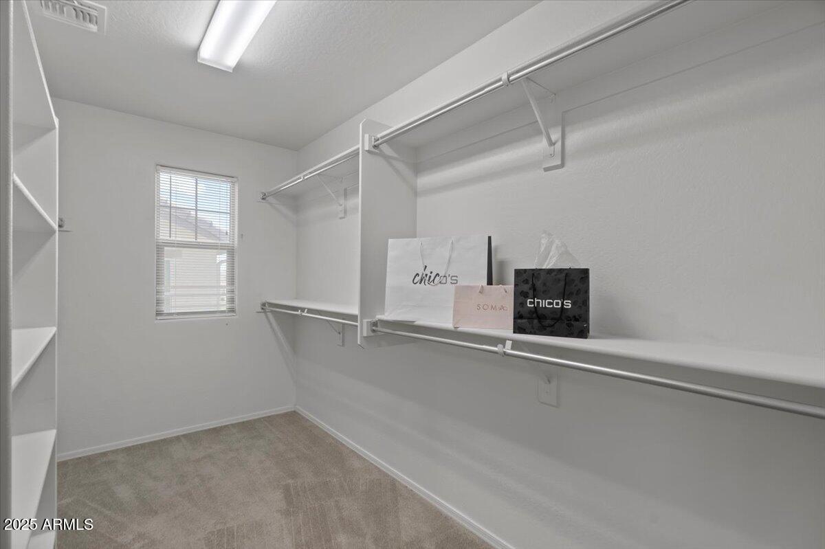 516 North Ranger Trail Gilbert, AZ 85234 - Photo 23 of 34 Primary closet