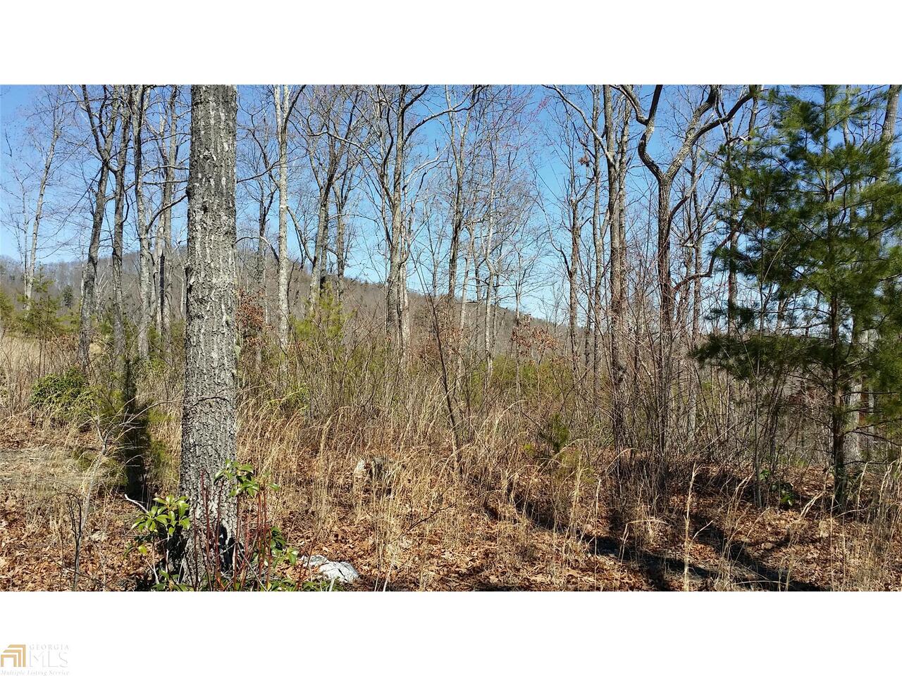 0 Ralston Gap, Unit 39 Morganton, GA 30560 - Photo 1 of 1 Gallery Image 1