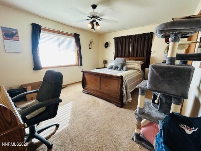 2099 Thomas Court Fallon, NV 89406 - Photo 16 of 34 23