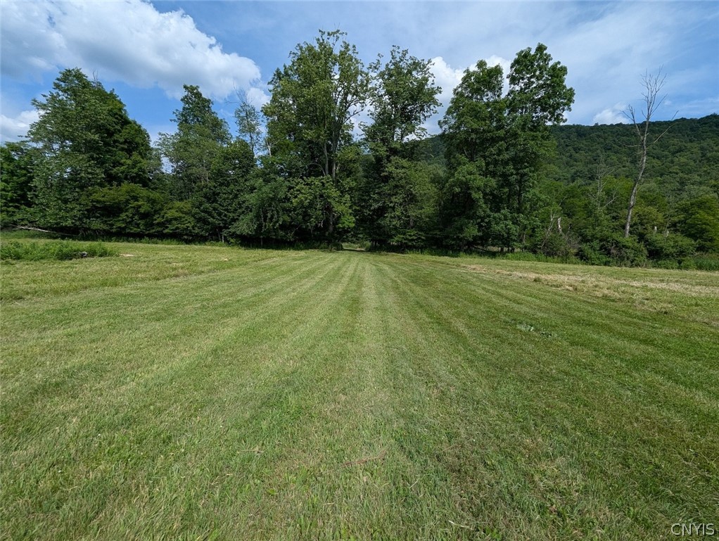 5430 Meads Creek Road Campbell, NY 14870 - Photo 35 of 48