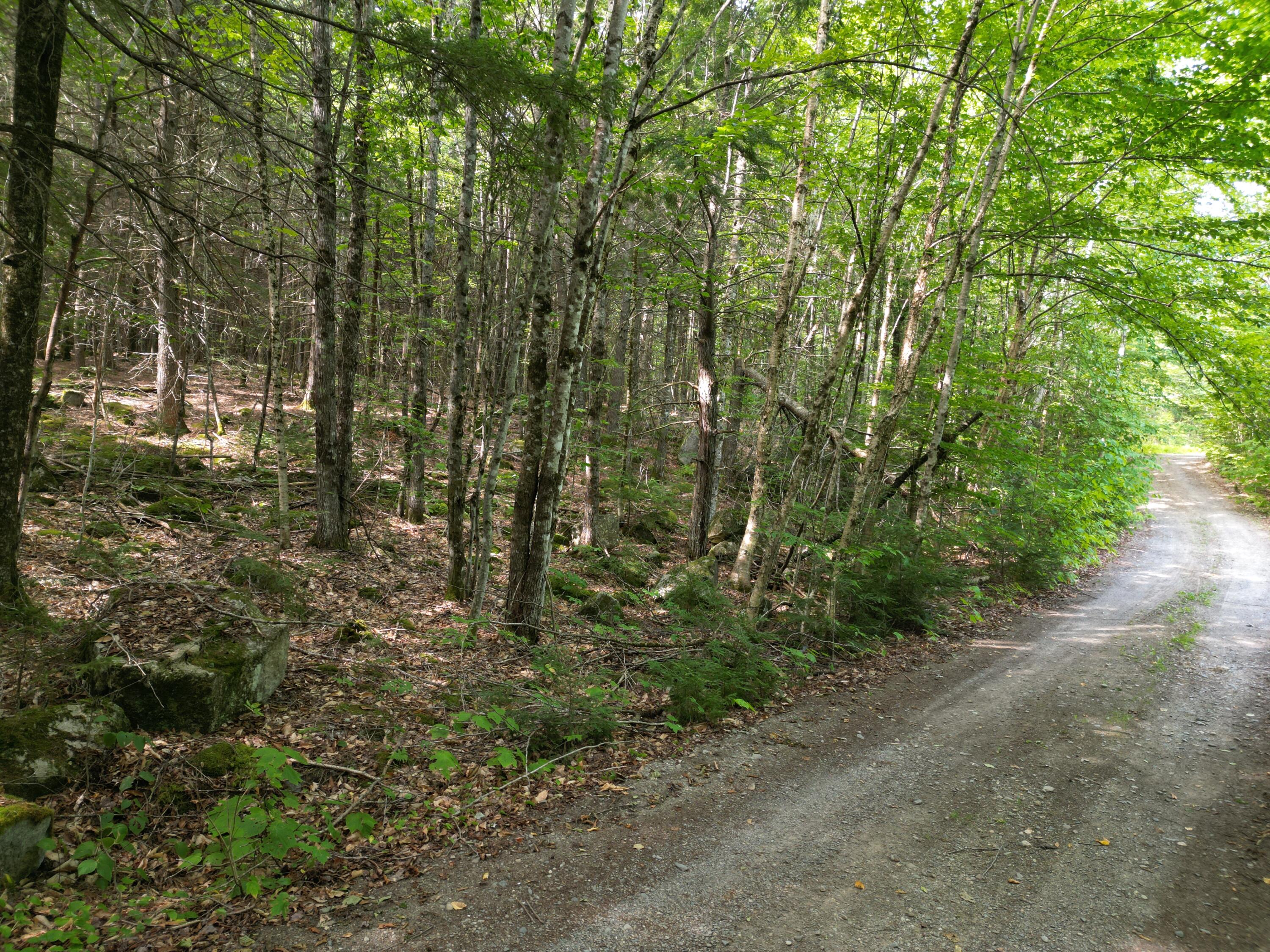 20 Stanhope Mill Road Lincoln, ME 04457 - Photo 13 of 18 DJI_0218