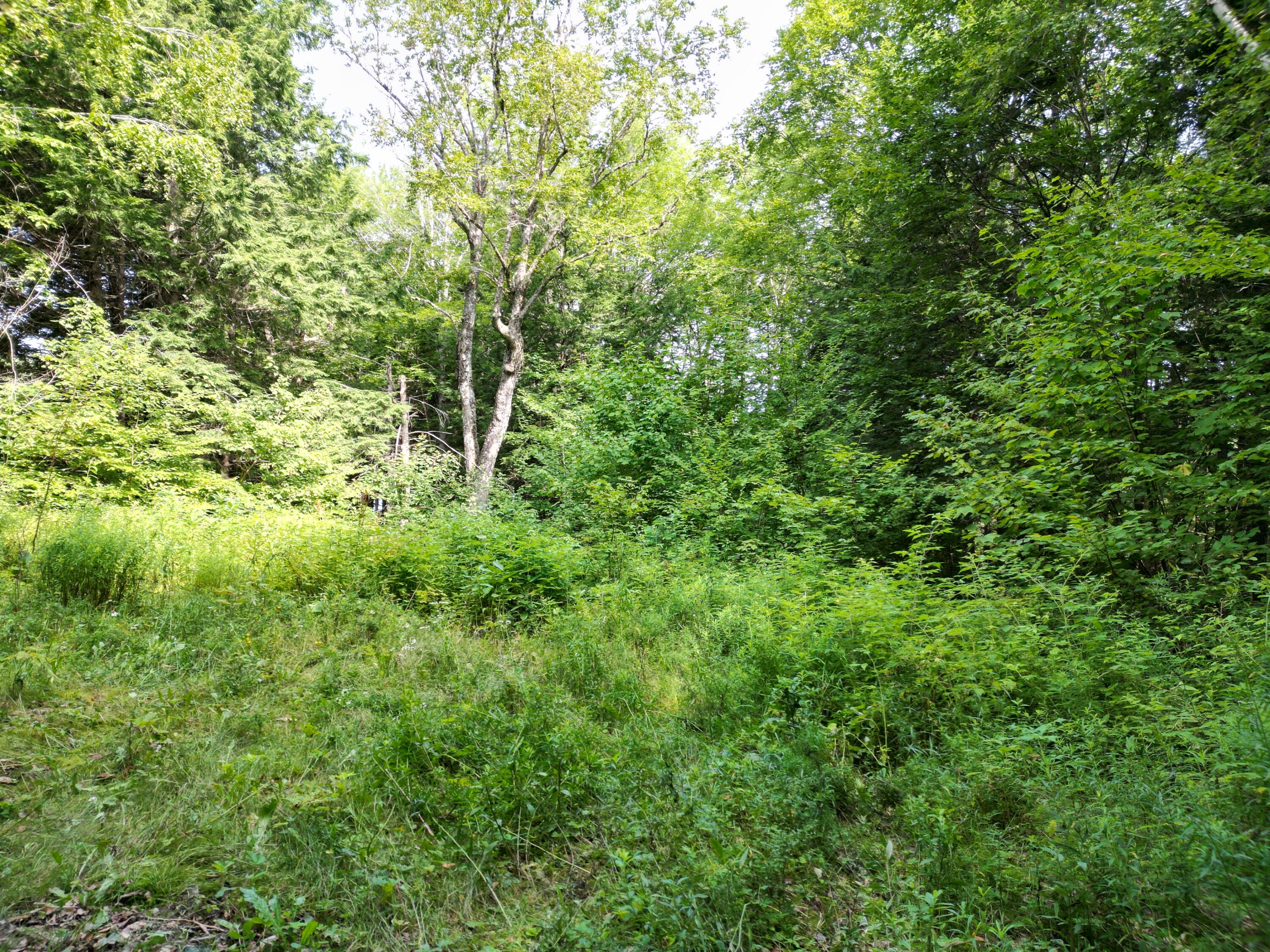 20 Stanhope Mill Road Lincoln, ME 04457 - Photo 15 of 18 DJI_0220