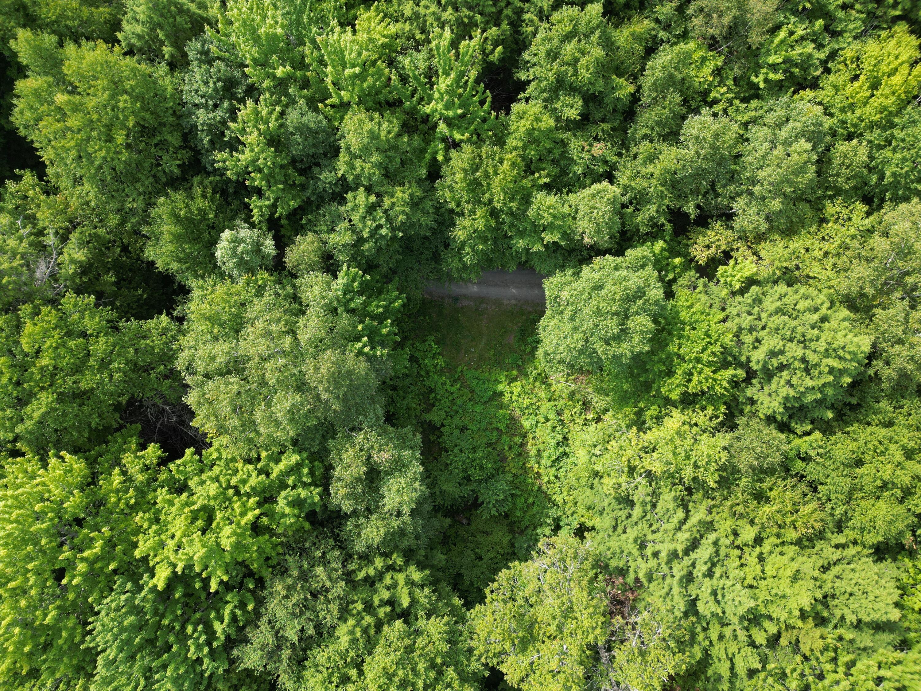 20 Stanhope Mill Road Lincoln, ME 04457 - Photo 17 of 18 DJI_0232